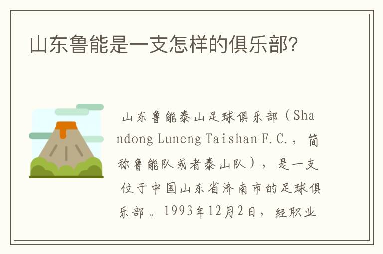 山东鲁能是一支怎样的俱乐部?