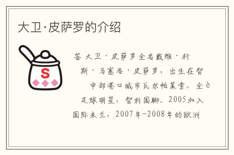 大卫·皮萨罗的介绍