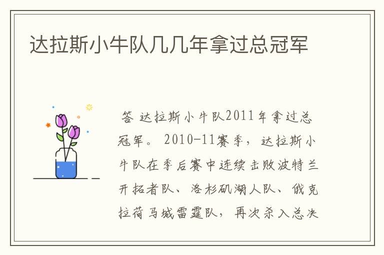 达拉斯小牛队几几年拿过总冠军