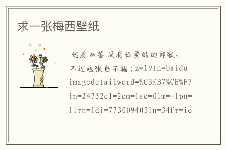 求一张梅西壁纸