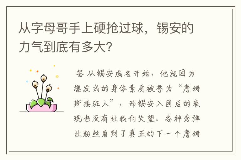 从字母哥手上硬抢过球,锡安的力气到底有多大?