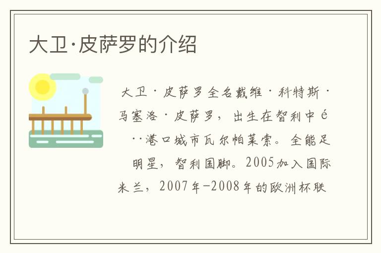 大卫·皮萨罗的介绍