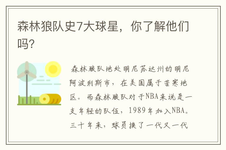 森林狼队史7大球星,你了解他们吗?