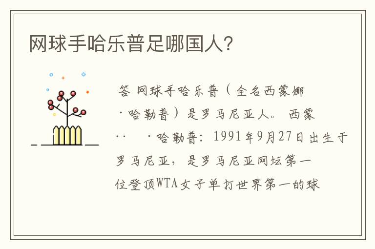 网球手哈乐普足哪国人?