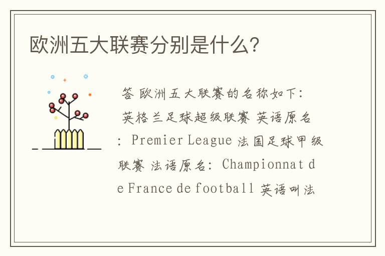 欧洲五大联赛分别是什么?