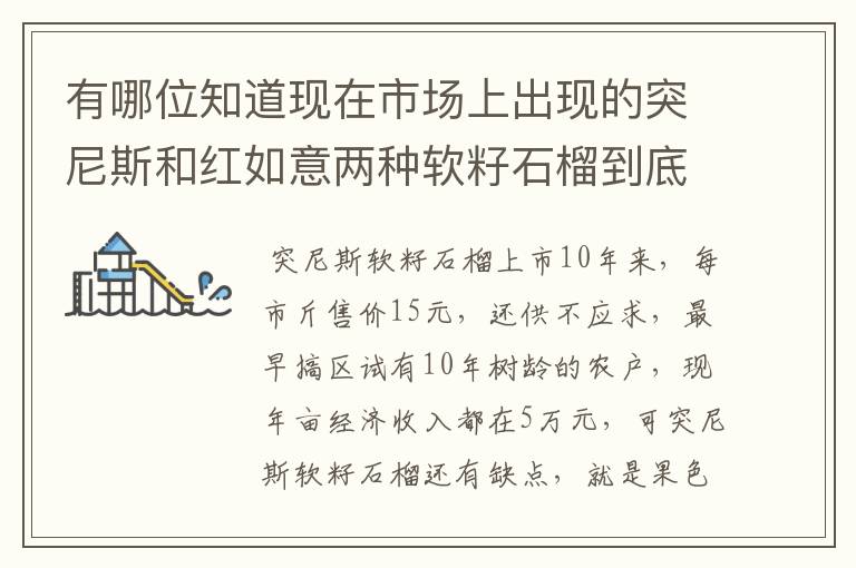 有哪位知道现在市场上出现的突尼斯和红如意两种软籽石榴到底哪个更好啊?