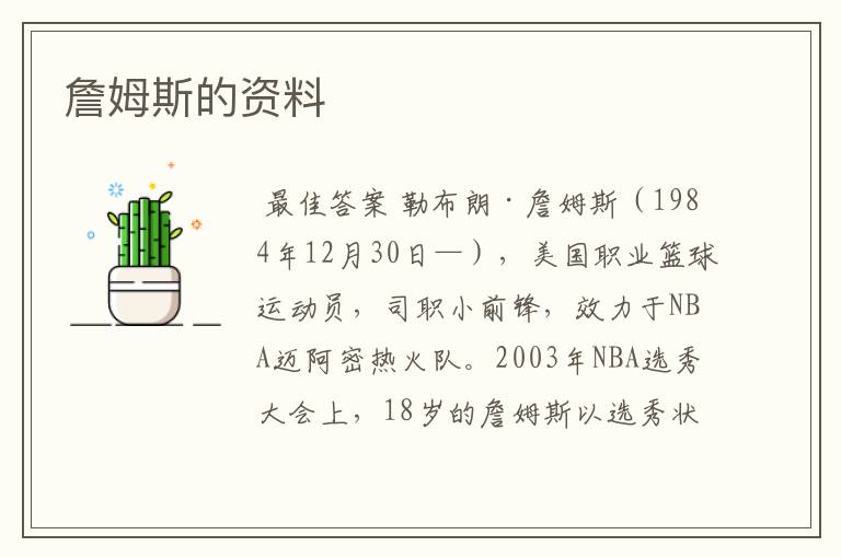詹姆斯的资料