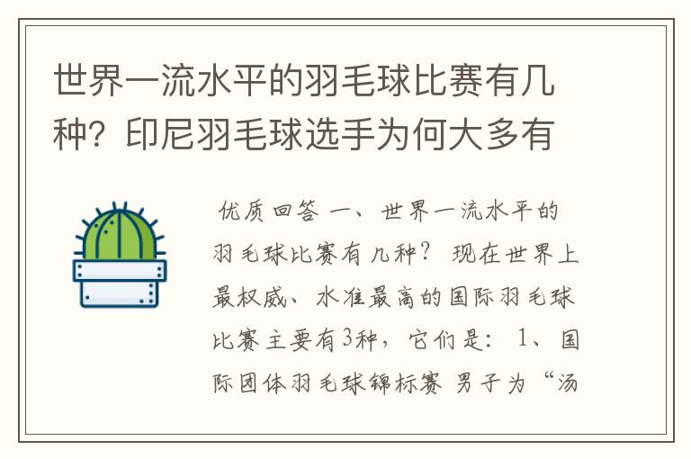 世界一流水平的羽毛球比赛有几种?印尼羽毛球选手为何大多有一个中国名字?