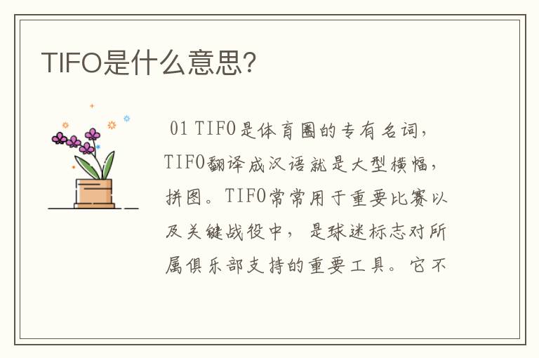 TIFO是什么意思?