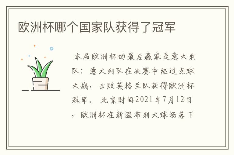 欧洲杯哪个国家队获得了冠军