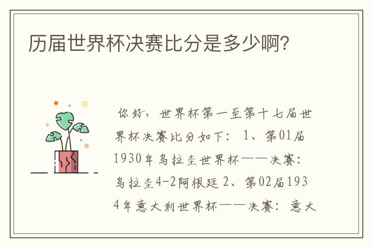 历届世界杯决赛比分是多少啊?