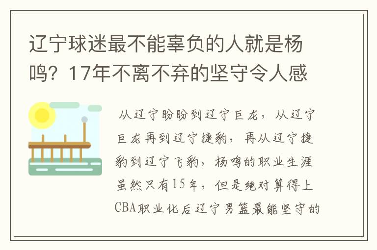 辽宁球迷最不能辜负的人就是杨鸣?17年不离不弃的坚守令人感动