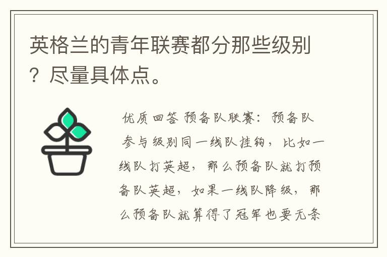 英格兰的青年联赛都分那些级别?尽量具体点。