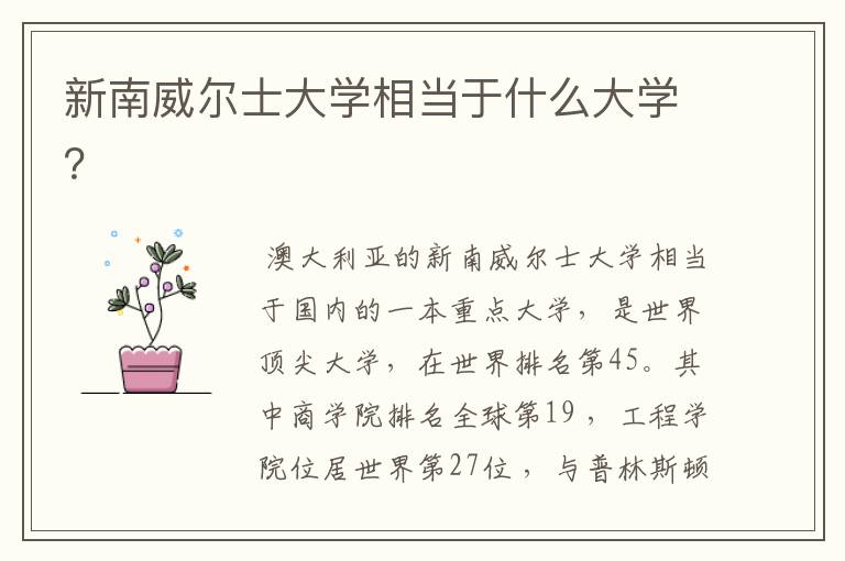 新南威尔士大学相当于什么大学?