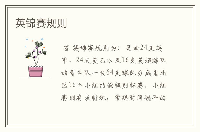 英锦赛规则