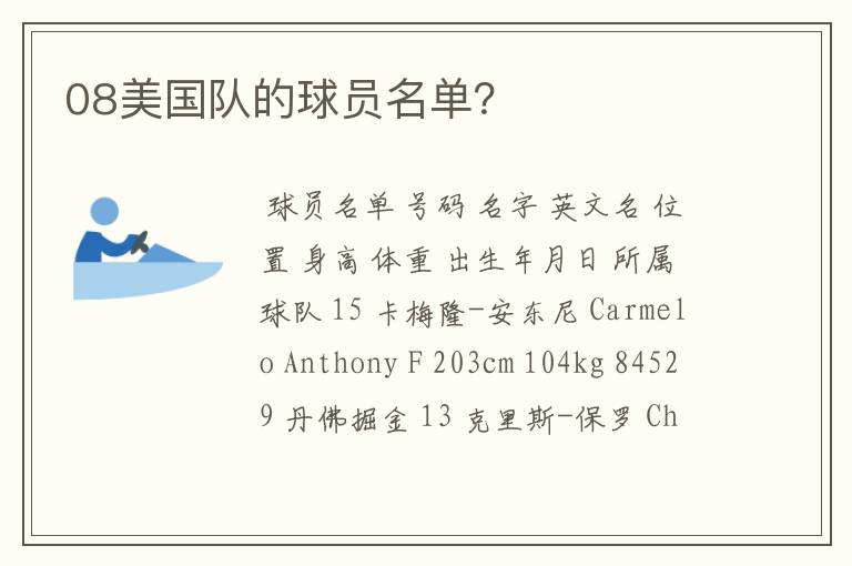 08美国队的球员名单?