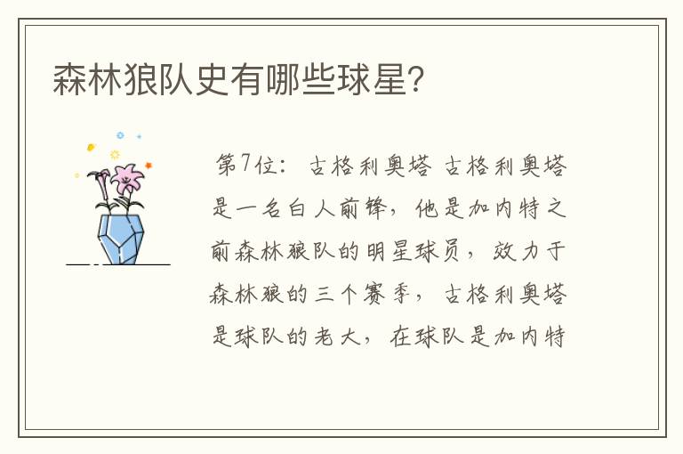 森林狼队史有哪些球星?