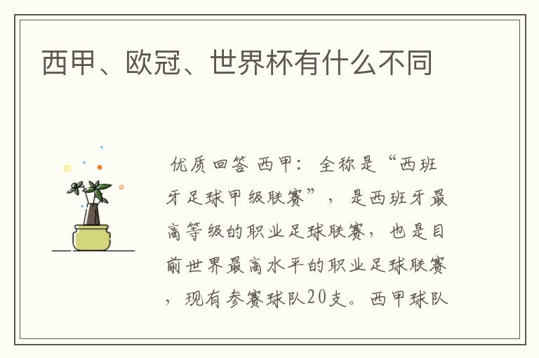 西甲、欧冠、世界杯有什么不同