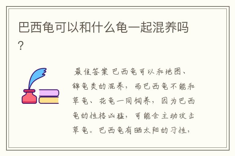 巴西龟可以和什么龟一起混养吗?