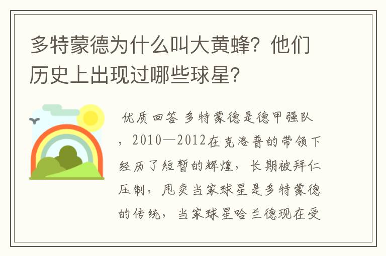 多特蒙德为什么叫大黄蜂?他们历史上出现过哪些球星?