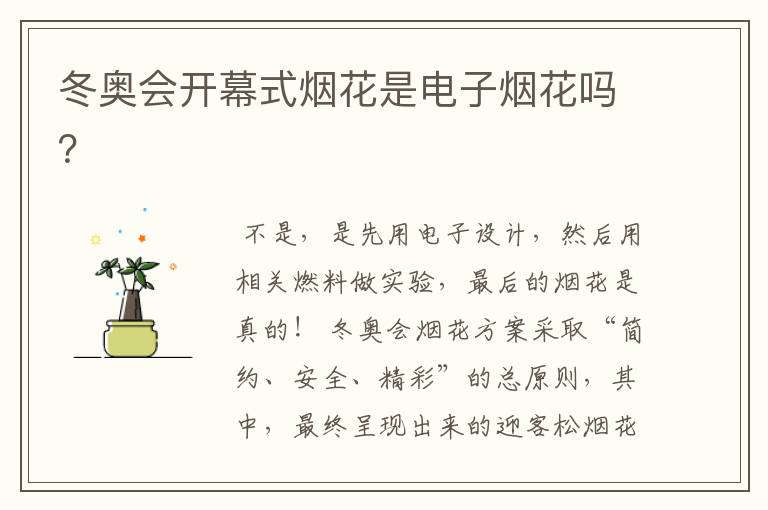 冬奥会开幕式烟花是电子烟花吗?