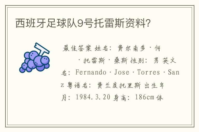 西班牙足球队9号托雷斯资料?