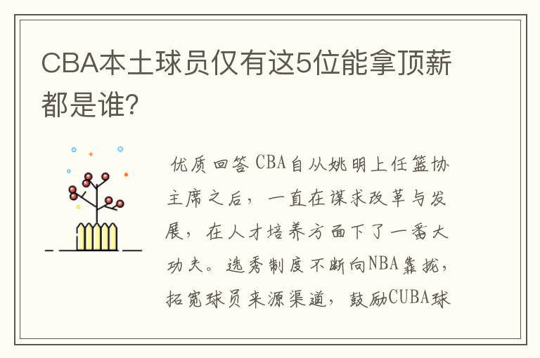 CBA本土球员仅有这5位能拿顶薪都是谁?