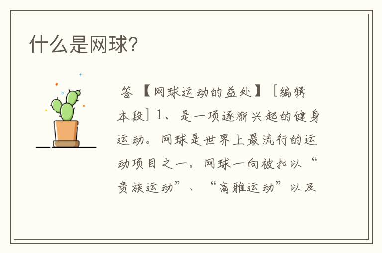 什么是网球?