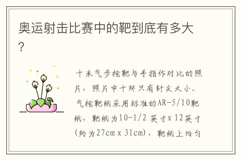 奥运射击比赛中的靶到底有多大?