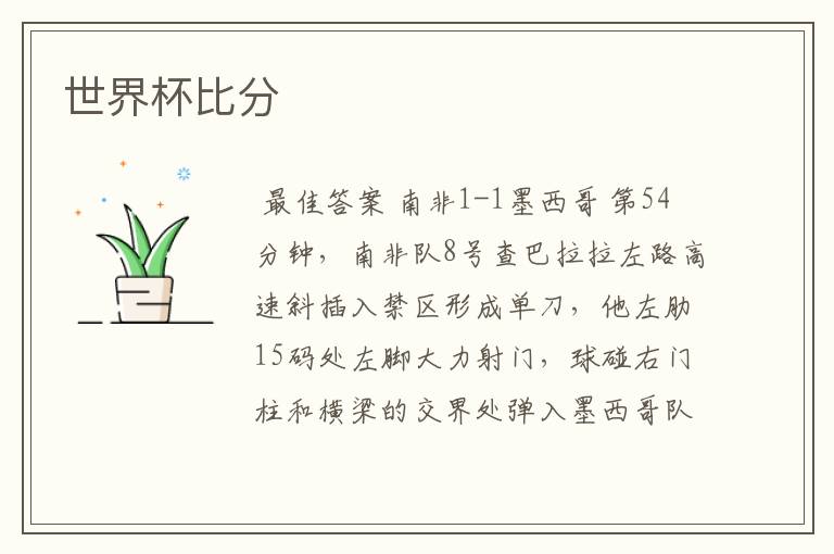 世界杯比分