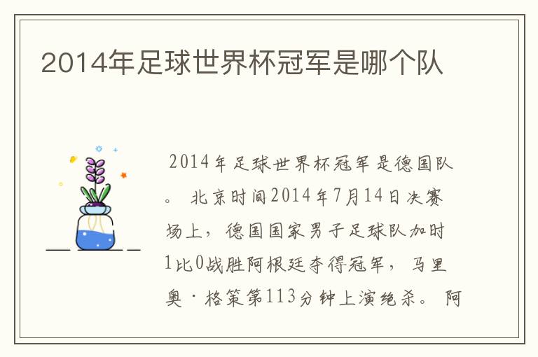 2014年足球世界杯冠军是哪个队