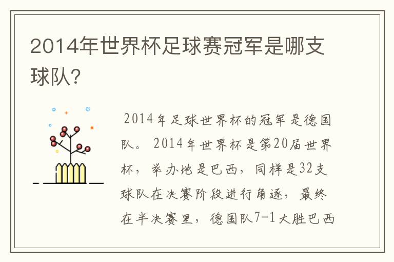 2014年世界杯足球赛冠军是哪支球队?