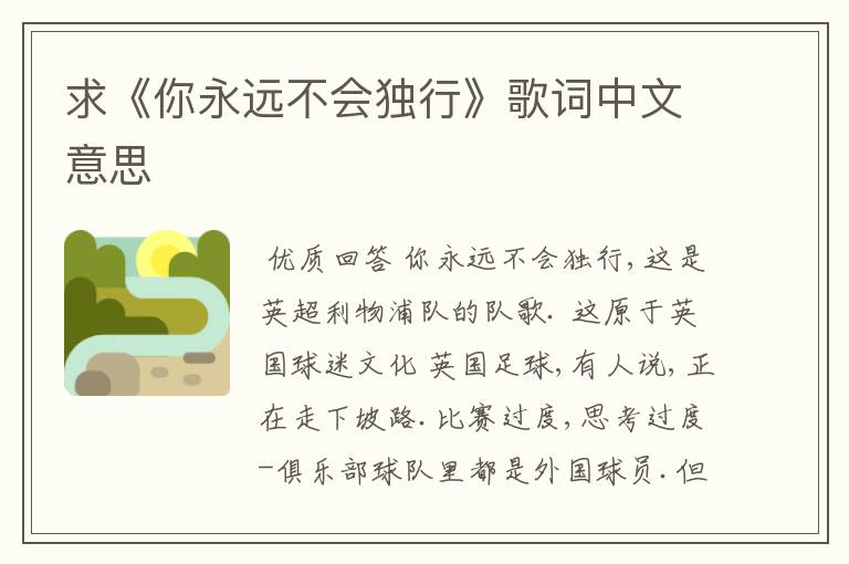 求《你永远不会独行》歌词中文意思