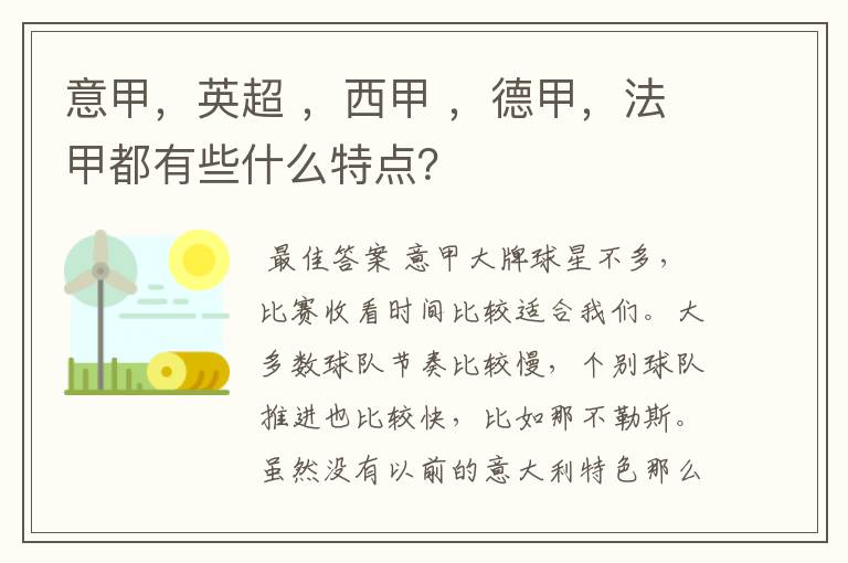 意甲,英超 ,西甲 ,德甲,法甲都有些什么特点?
