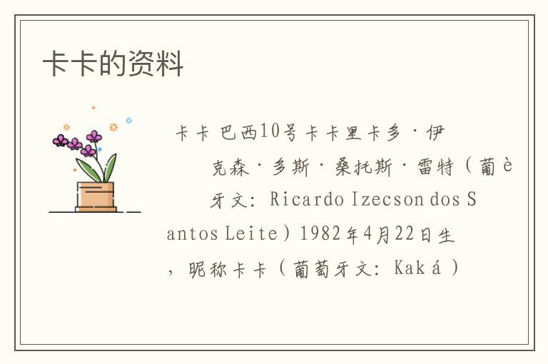 卡卡的资料