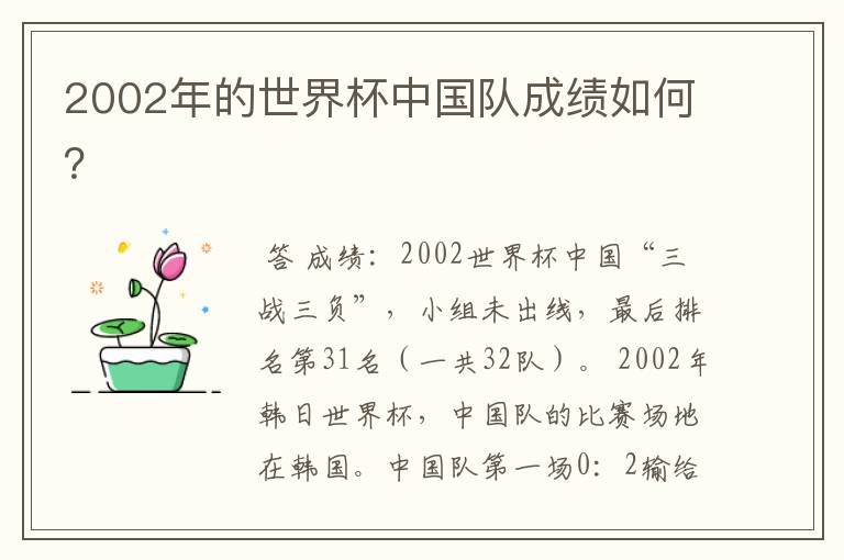 2002年的世界杯中国队成绩如何?