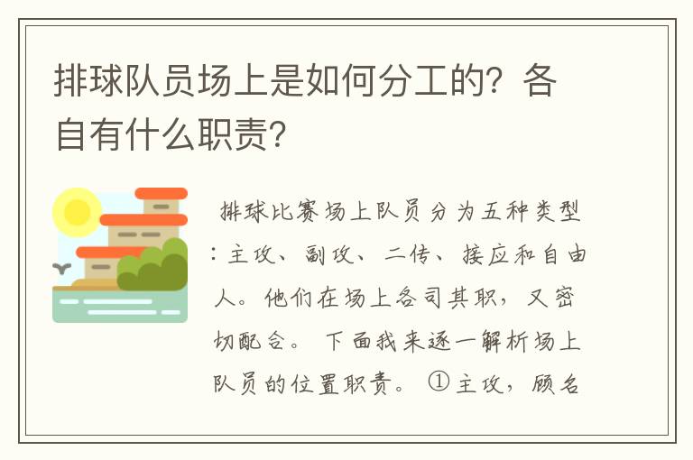 排球队员场上是如何分工的?各自有什么职责?