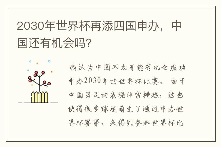 2030年世界杯再添四国申办,中国还有机会吗?