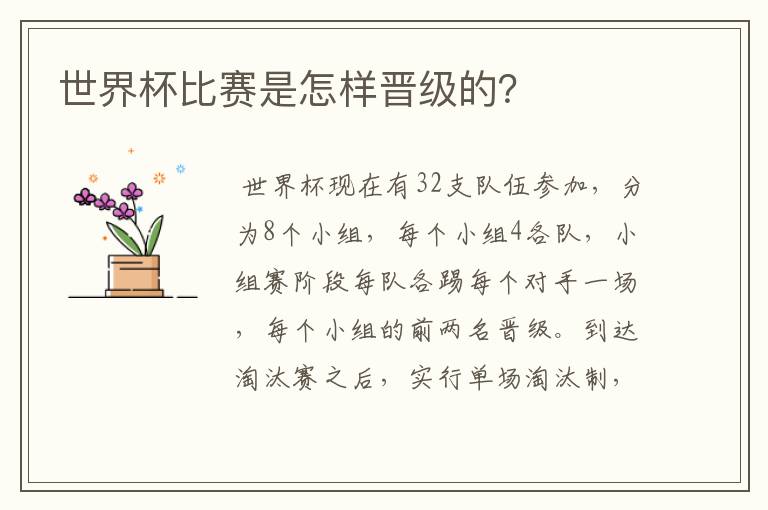 世界杯比赛是怎样晋级的?