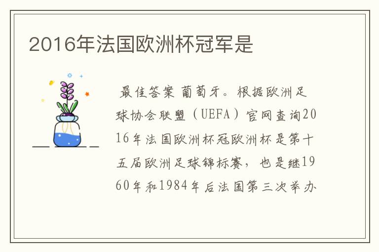 2016年法国欧洲杯冠军是