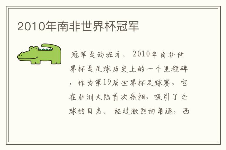 2010年南非世界杯冠军