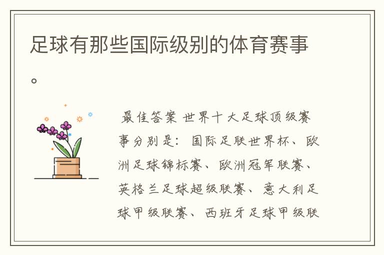 足球有那些国际级别的体育赛事。