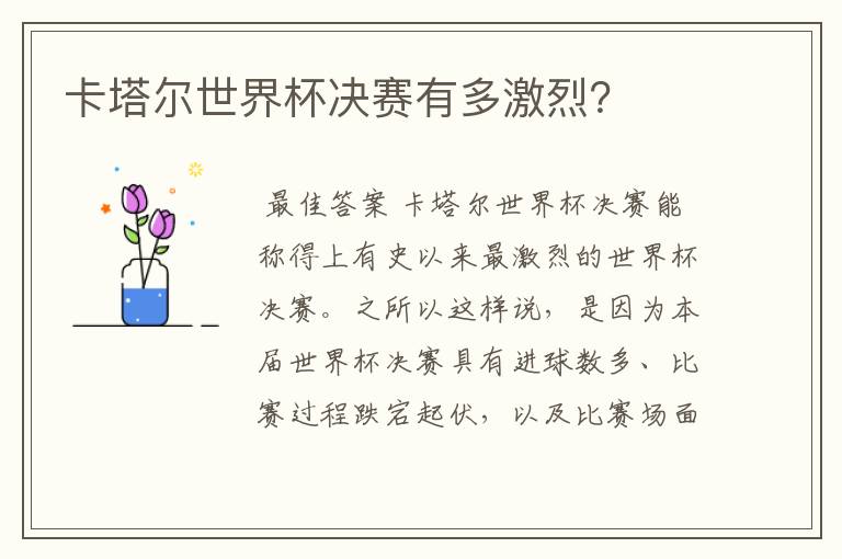 卡塔尔世界杯决赛有多激烈?
