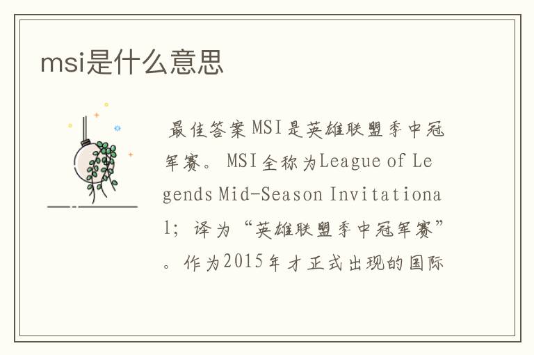 msi是什么意思