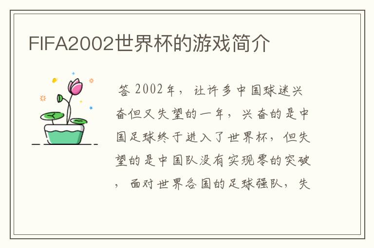 FIFA2002世界杯的游戏简介