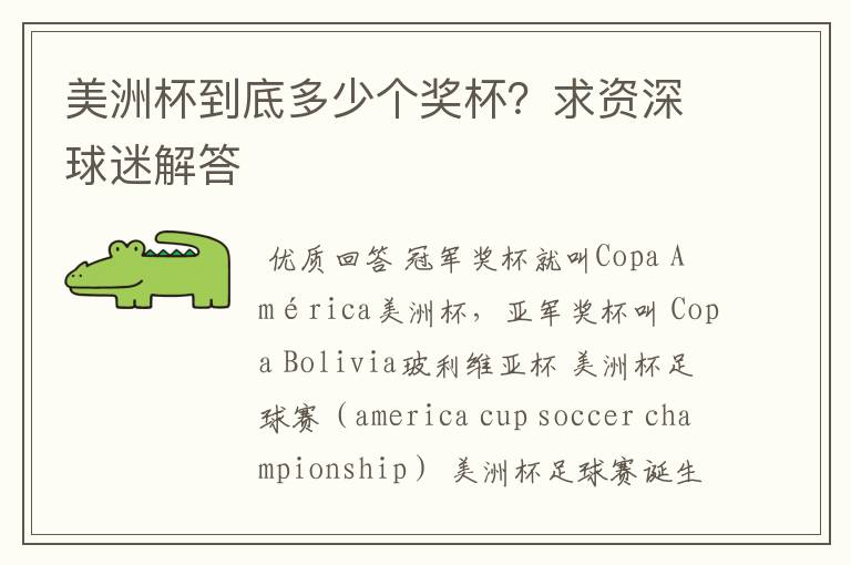 美洲杯到底多少个奖杯?求资深球迷解答