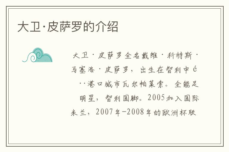 大卫·皮萨罗的介绍