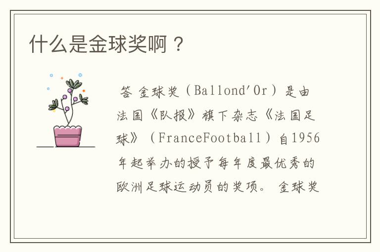 什么是金球奖啊 ?