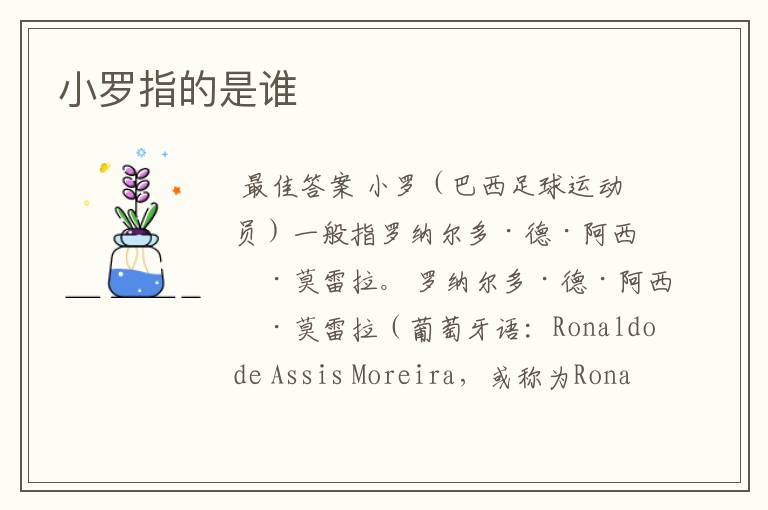 小罗指的是谁