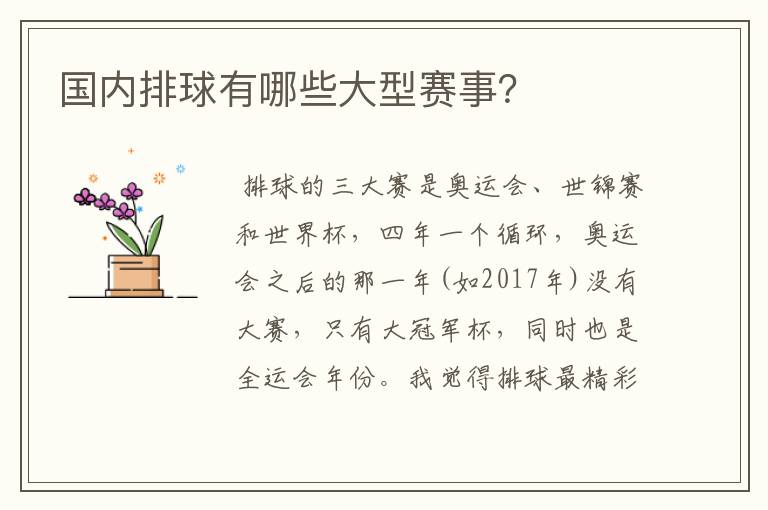 国内排球有哪些大型赛事?